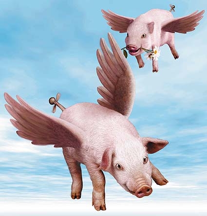 pigs fly