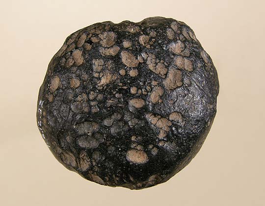 tektite