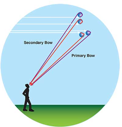 secondary-bow