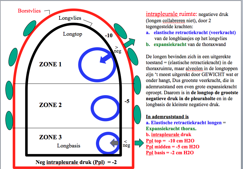 Schermafbeelding 2014-09-01 om 07