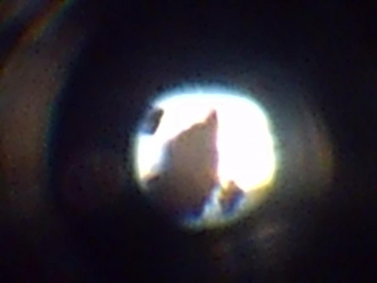 SUNP0309