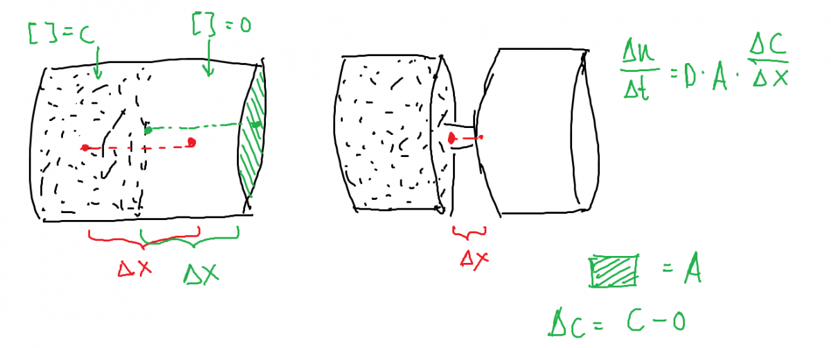 diffusiesnelheid wat invoeren voor delta x 3