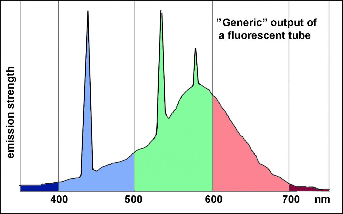 fluorescent-light-spectrum-inspiration-3