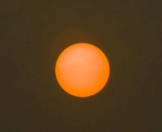 oranje zon 2