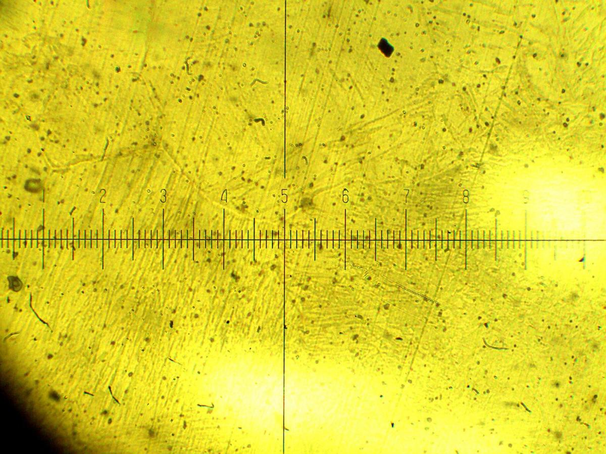 St52-3 microstructuur (na harden)