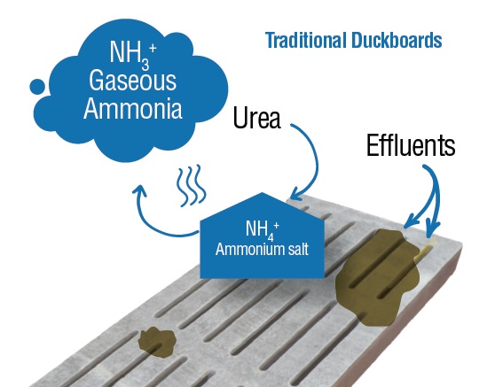 urea to nh3