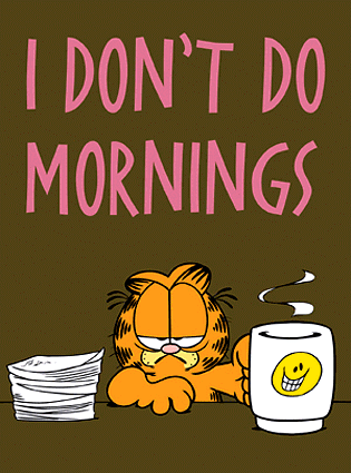 I-Dont-Do-Mornings1