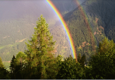 bergen_regenboog