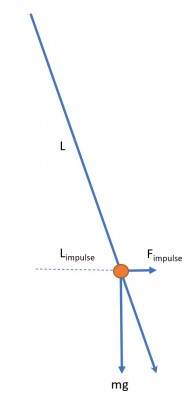 Impulse Pendulum