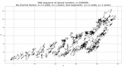 DNA Of numbers