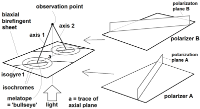 birefringent interference pattern6