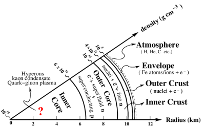 Schematic-structure-of-a-neutron-star-interior