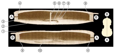 Violin_bout_cross_section