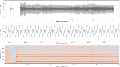 f_0_1000mm_Trumpet_01_spectrum_log