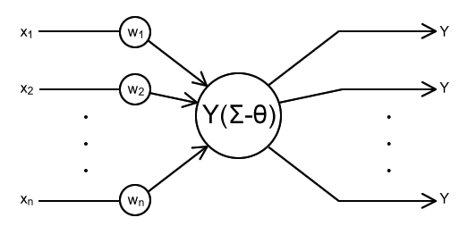 neuron