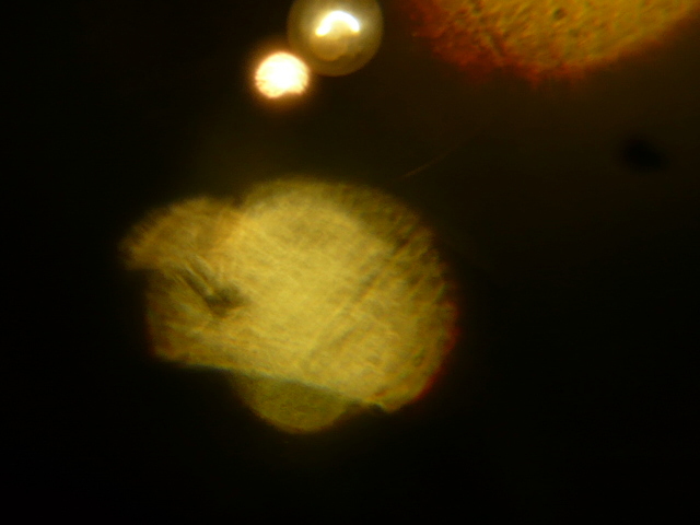 P1070393