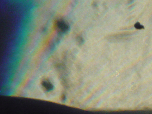 P1040975