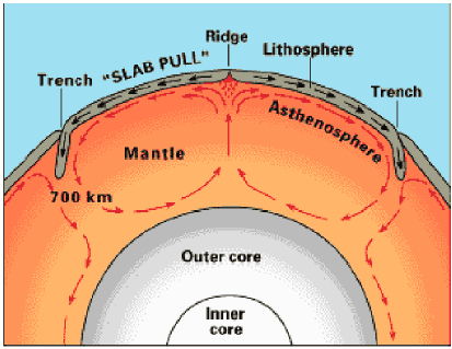 51convection